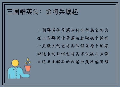 三国群英传：金将兵崛起